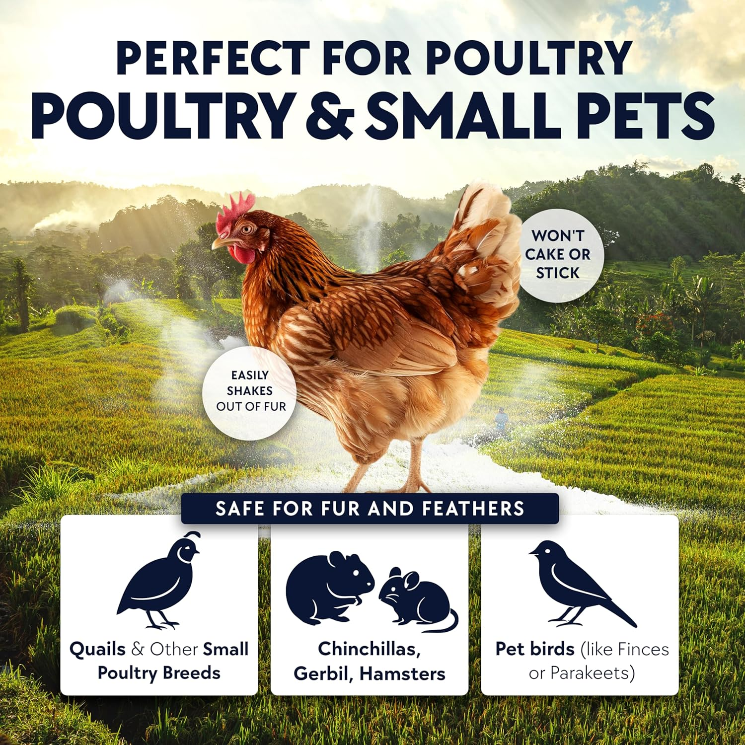 BILLY BUCKSKIN HOME & BEAUTY Chickie - Whiz Dust Bath, Chicken Dust Bath, Keeps Feathers and Chickens Healthy, Durable Tub with Screw Cap, 5.5 Lb image number 6