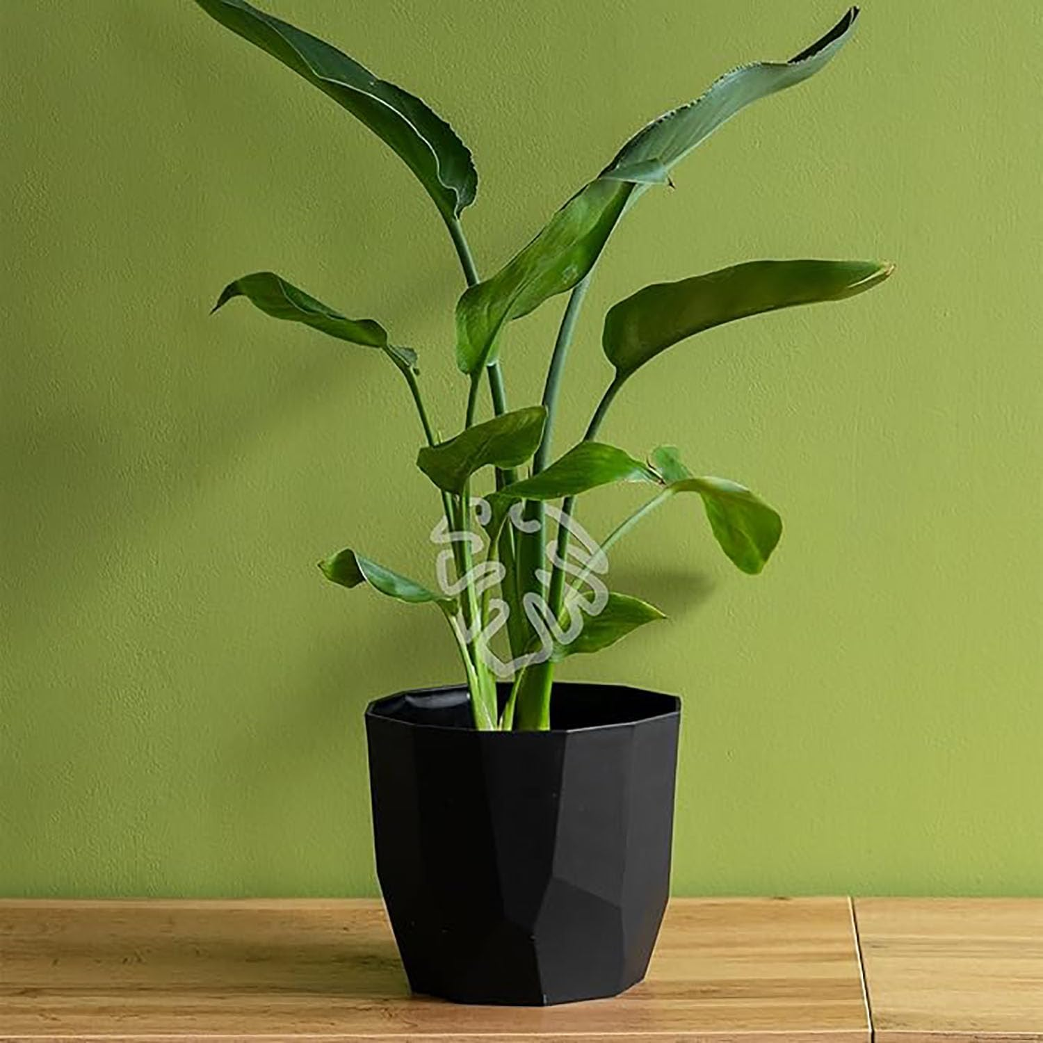 Plant Support 6PCS Anti-Collapse Magic Stem Holder Branch Collector Transparent Turtleback Bamboo Clip Transparent image number 1