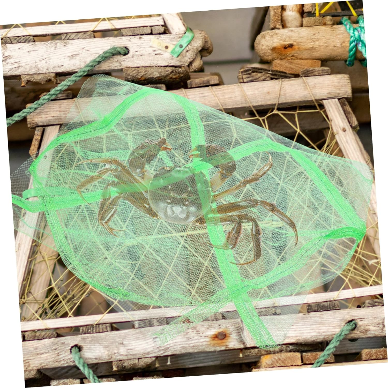 DOITOOL 10Pcs Portable Outdoor Crab Mesh Bags Quick-Drying Fishing Net Pouches Multi-Use Drawstring Storage for Fish Crabs Lobsters image number 4