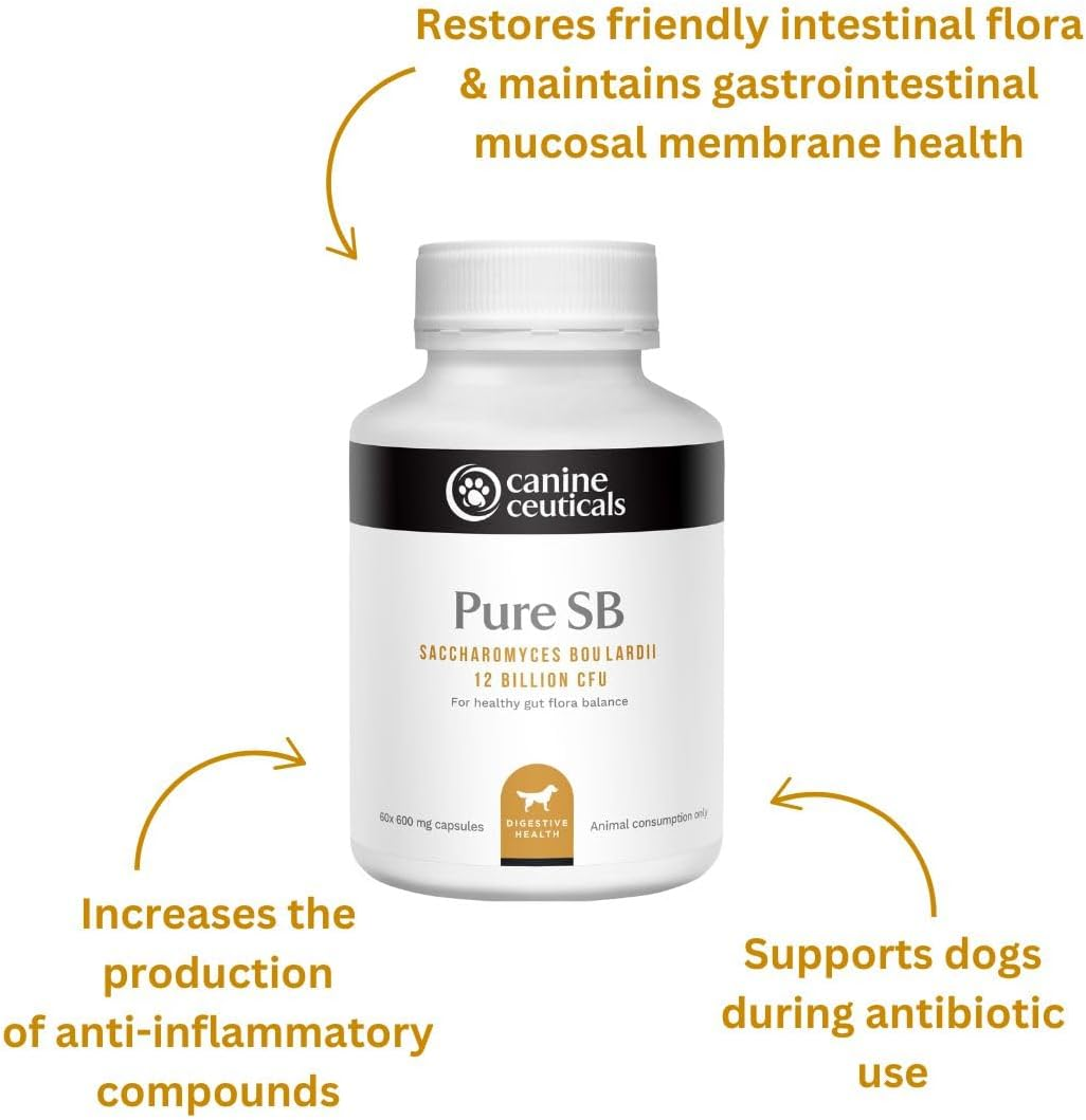 Canineceuticals - the Ultimate Gut Bundle - Digestive Health Support for Dogs - Restore Healthy Intestinal Flora - Promote Gut Healing & Repair - Reduce Inflammation - Normalise Bowel Movements image number 6