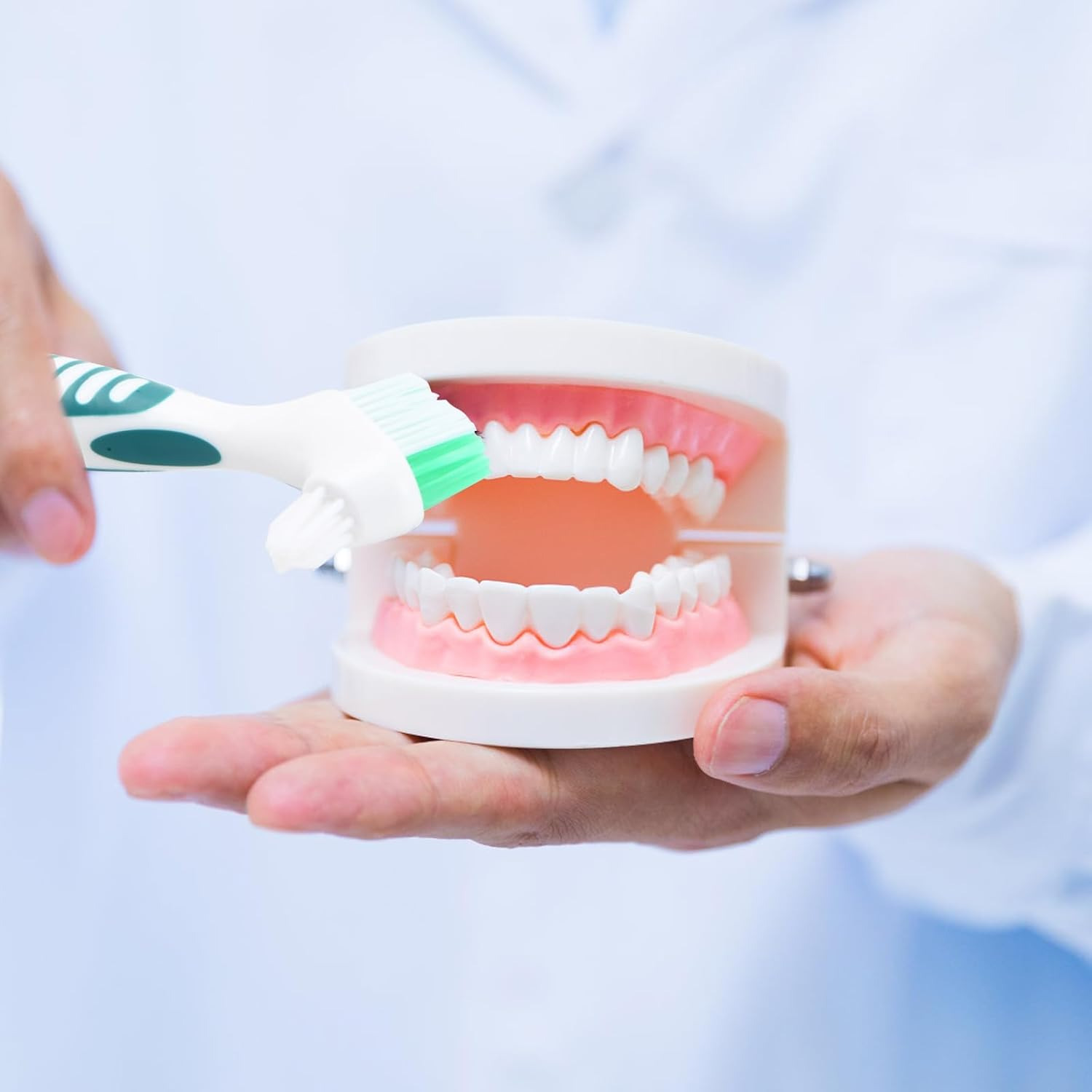 4PCS False Teeth Brush, Multi-Layered Bristles False Teeth Brush, Denture Brush, Denture Toothbrush, Dual Head Toothbrushes, Retainer Brush for Cleaning Dentures image number 6