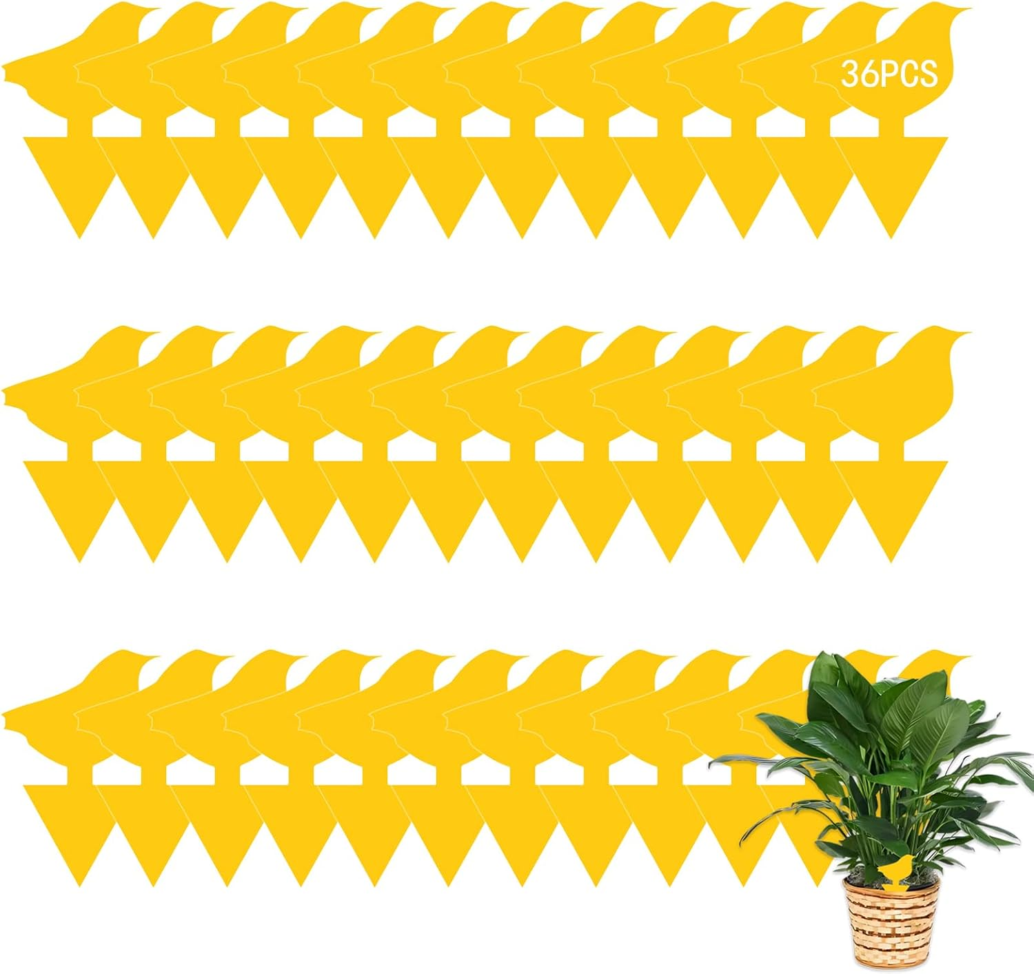 24 Pack Sticky Fruit Fly Fungus Gnat Traps Killer, Dual-Sided Mosquito Fly Gnat Sticky Trap, Insect Catcher for Mosquitoes, Flies, Pests & Bugs, Fruit Fly Traps for Plants, Vegetables, Fruits, Garden