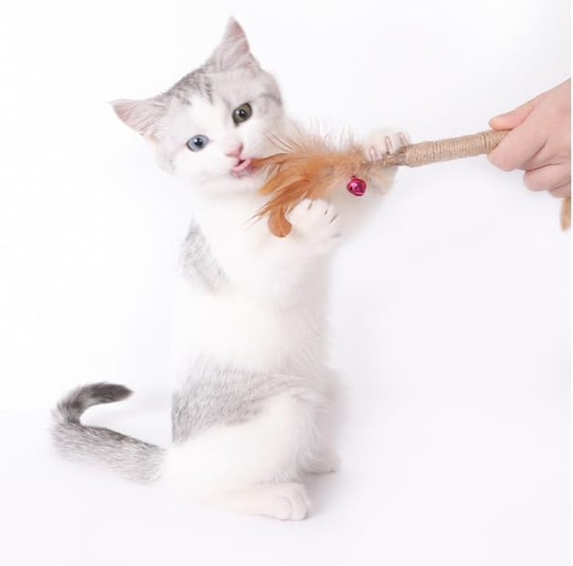 JCBCKJ 3Pcs Cat Stick Wood Polygonum Natural Silvervine Sticks Cat Teeth Cleaning Wood Stick Kitty Teething Sticks Pet Chew Wooden Sticks Pet Toy Accessories image number 2