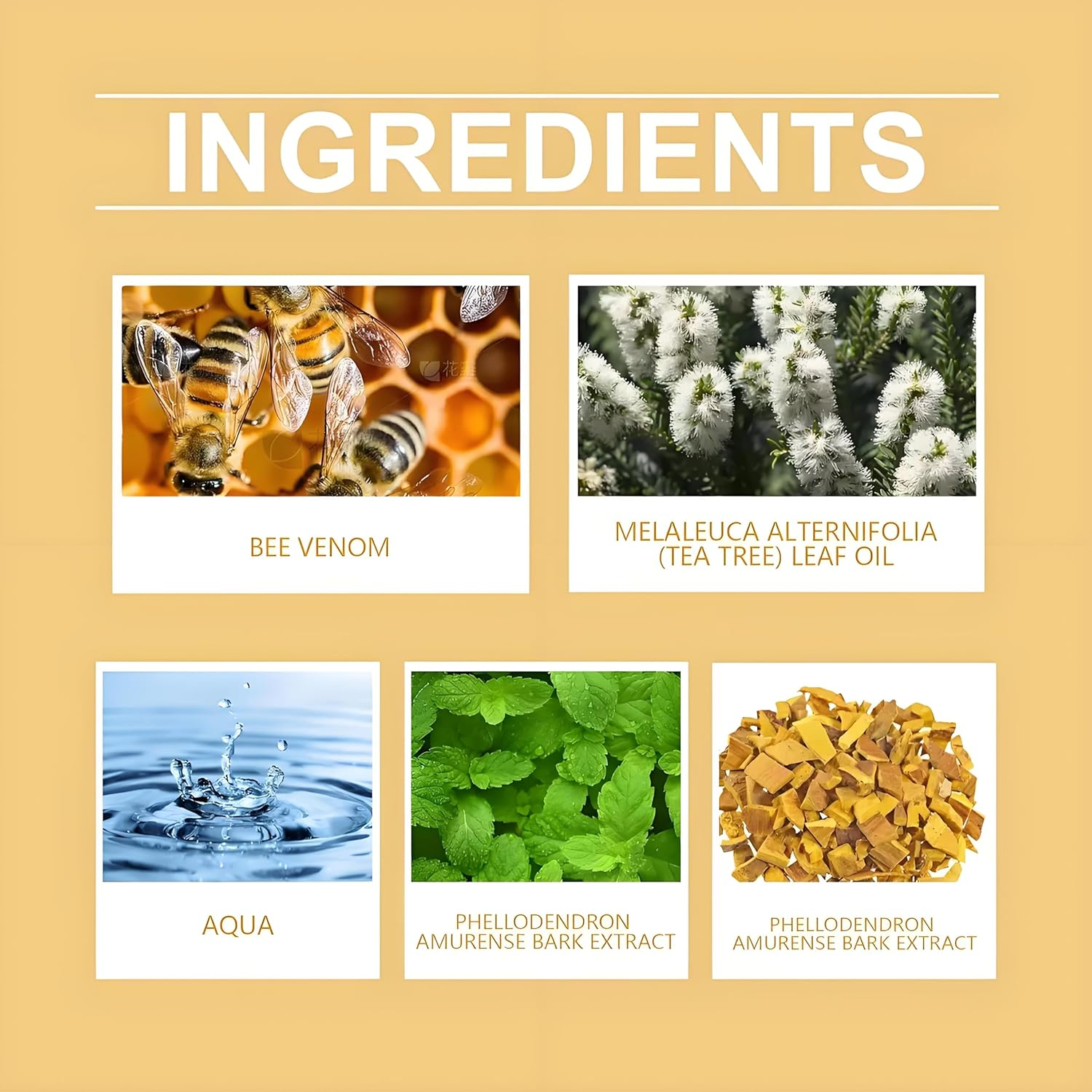 Bee Venom Cream, Bee Venom Correcting Gel, Skin Repair Cream image number 1