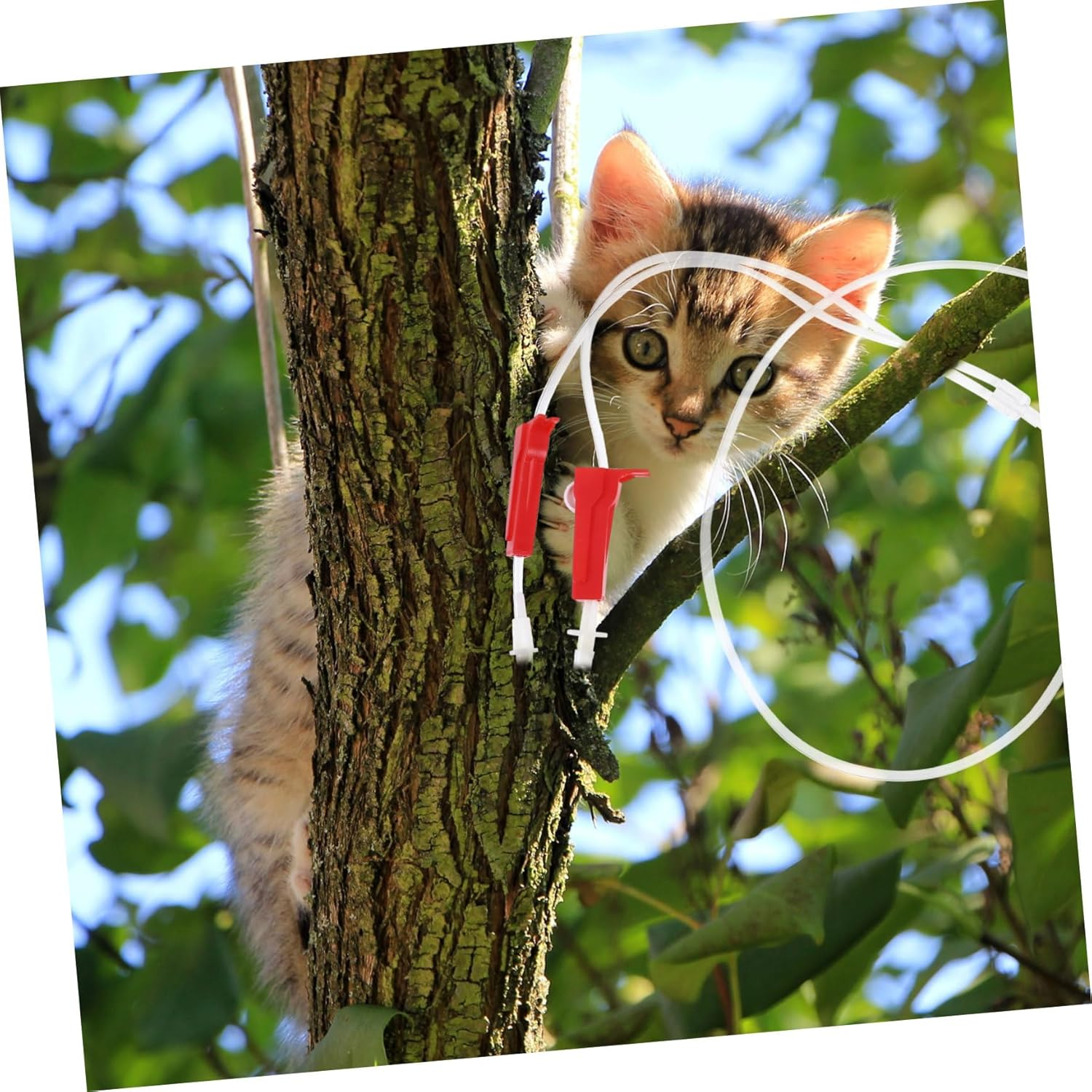 Tree Infusion Bag Tube Drip Irrigation Supplies for Garden 6Pcs Plastic Drip System with Cap and Dual Outlet for Tree and Plant Watering image number 2