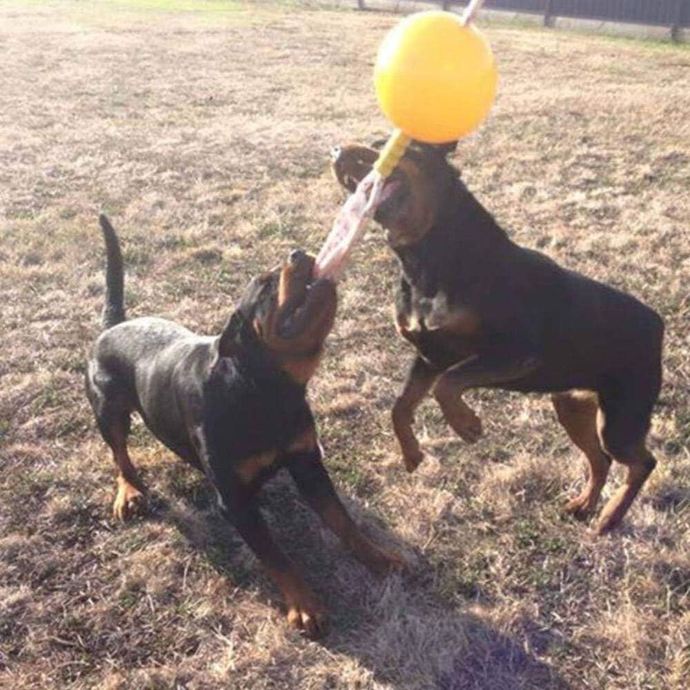 Aussie Dog Home Alone, XL, XL, Yellow image number 1