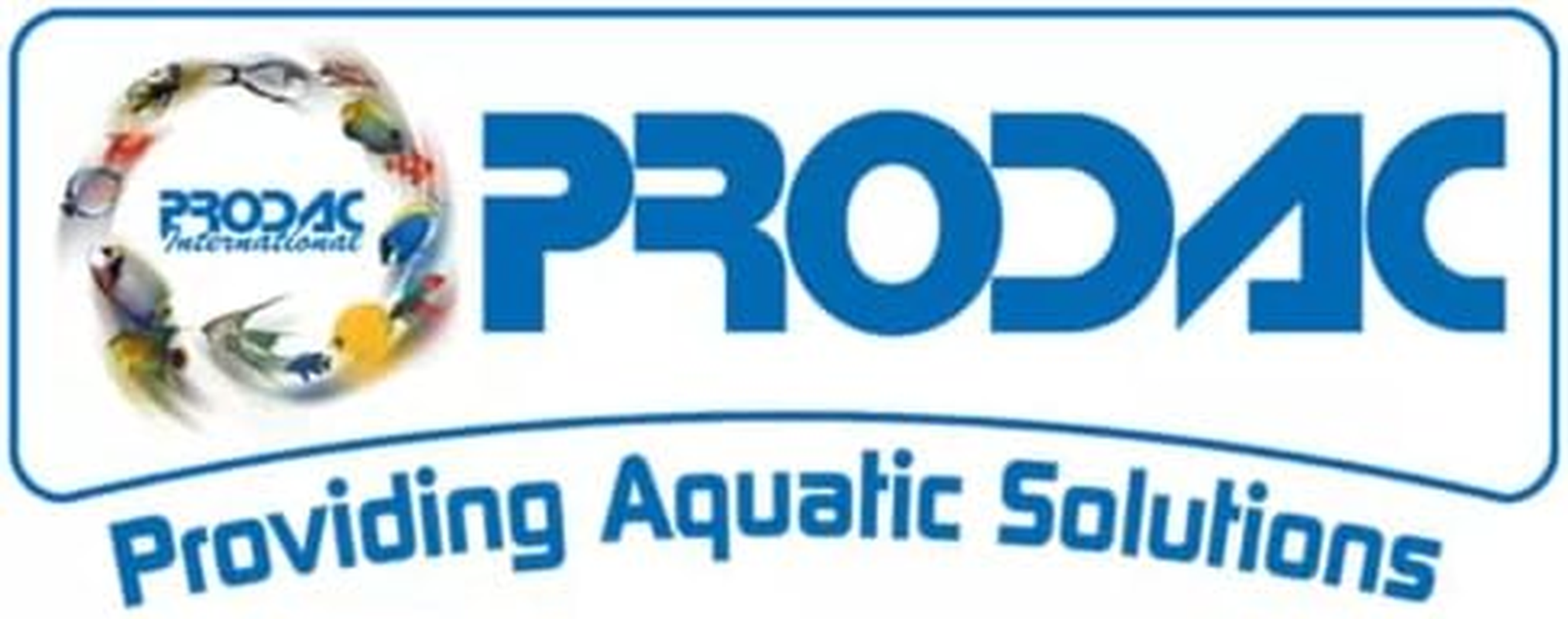 Prodac Goldfish Premium Flake Food, 50 Grams image number 1