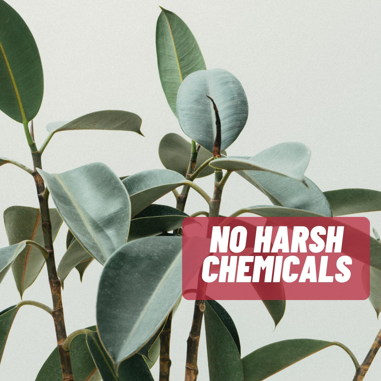 Acnetame Pills- Vitamin Supplements for Acne Treatment- Natural Clear Skin from Hormonal Cystic Pimples- Oily Skin Vitamins Pill for Women, Teen, Men, & Adults 60 Tablets image number 2