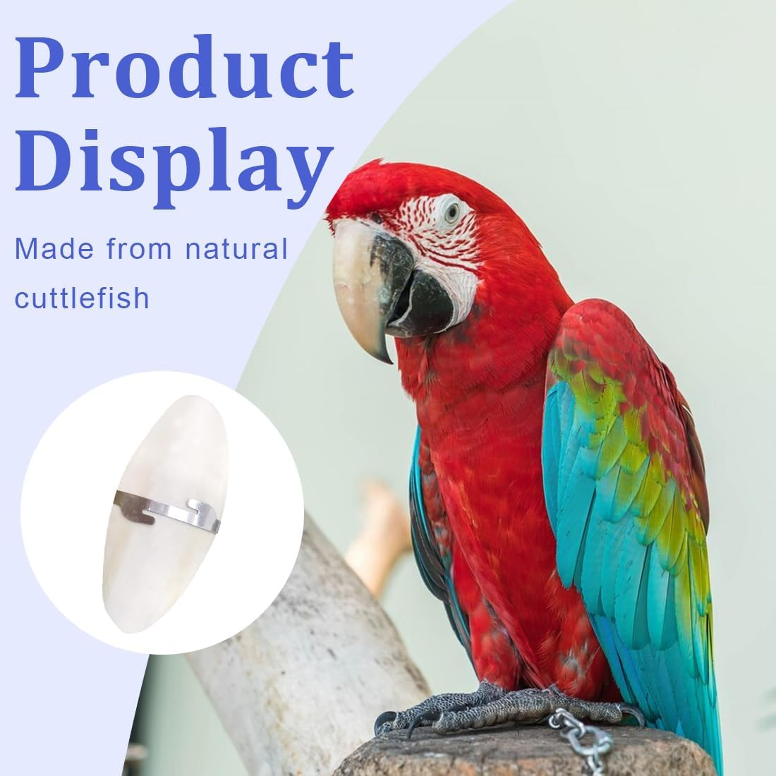 Pack of 2 Sepia Bowls Birds Chewing Toy Parrots Chew Toy Octopus Sepia Bones with 2 Pieces Metal Holder for Turtles Birds Snails 15 Cm