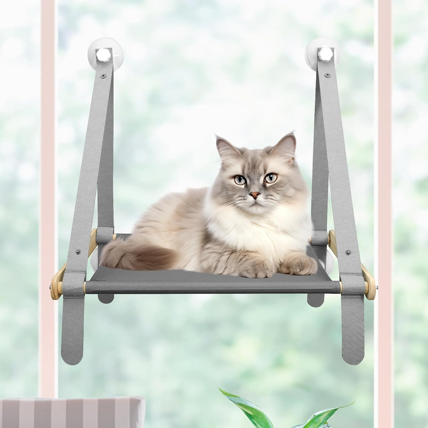 Cat Windows Perch, Robust Cat Windows Hammock with 4 Strong Suction Cups, Easy to Install Cat Windows Seat, Cat Window Bed, Safe Hanging Window Shelf Perch for Small Medium Indoor Cats image number 2