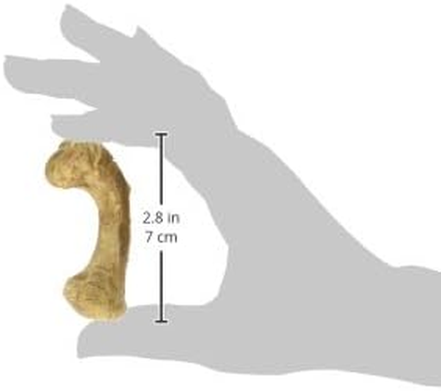 Nylabone Natural Healthy Edibles Wild Puppy Chew Treats with Real Turkey (Pack of 4) image number 3