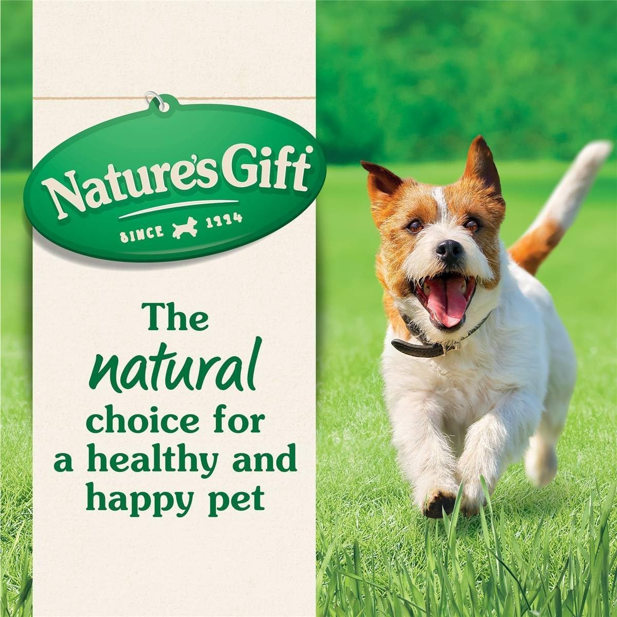 Nature'S Gift Casserole Adult Kangaroo and Vegetables Wet Dog Food 700 G image number 1