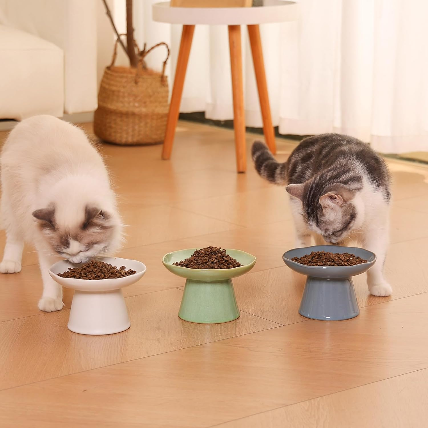 Wide Shallow 6.1" Raised Cat Bowls, Ceramic Elevated Food Bowl for Flat Faced Cats and Small Dogs, Porcelain Feeder Bowl, Stress Free, Protect Cat&rsquo;S Spine, Green image number 5