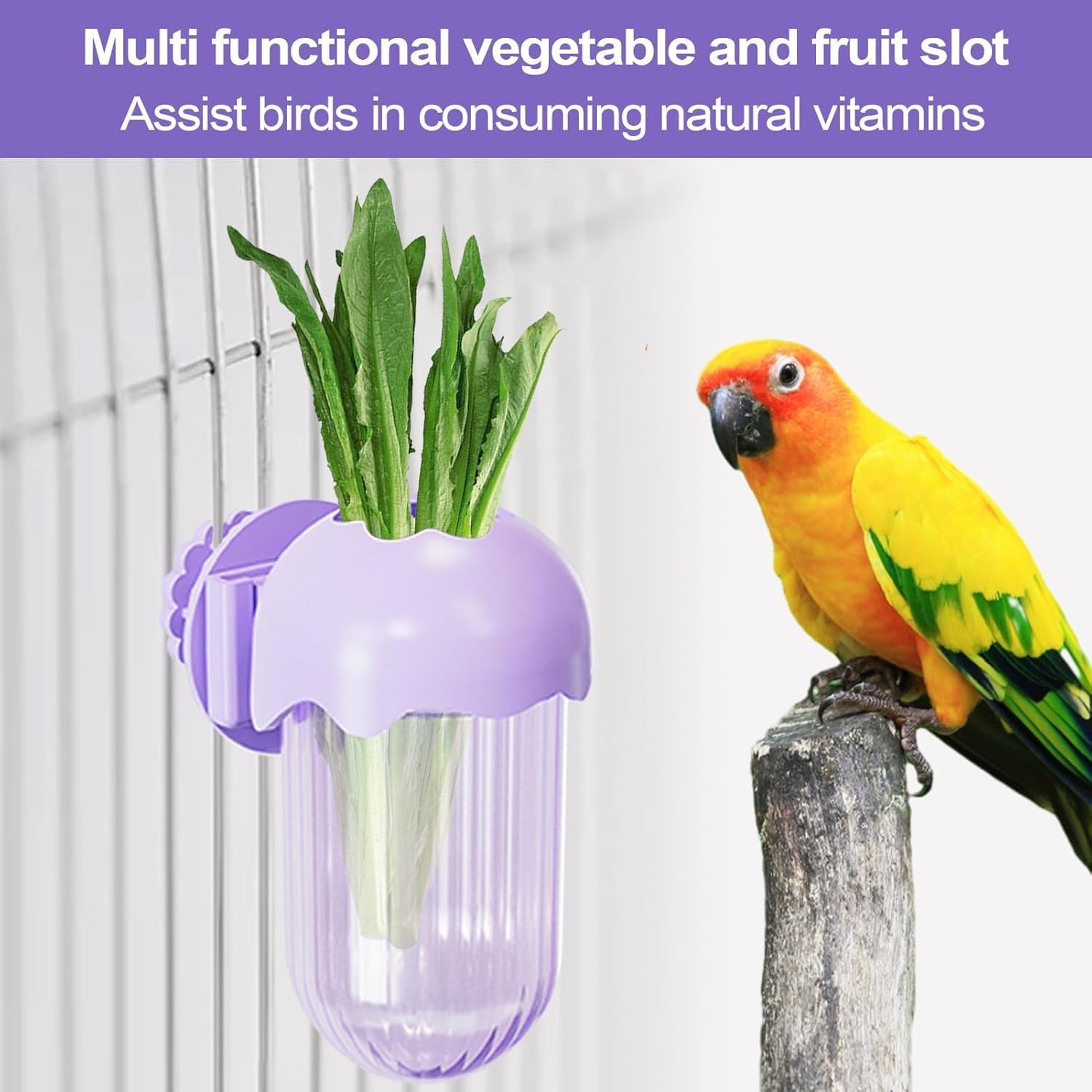 Limcryspp Bird Food Plate Cage, Bird Feeding Cup, Water and Food Container Clamp, Feeding Bowl Macaw Finch, Budgerigar, Parrot(A) image number 6