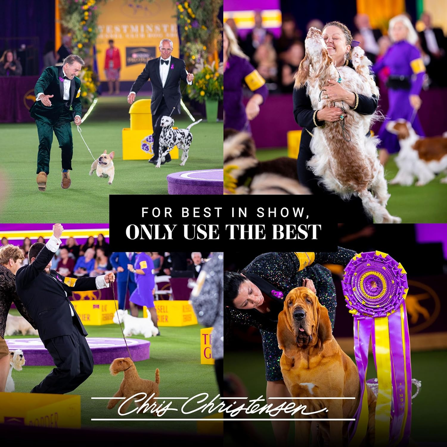 Chris Christensen Diamond Series Miracle Moisture Dog Shampoo, Groom like a Professional, Pro-Vitamin Formula, Provides Maximum Moisture, Use on Both Dogs and Cats, Made in the USA, 16 Oz image number 2