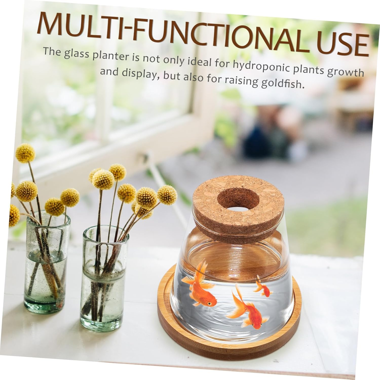 2Pcs Hydroponic Planter Glass Propagation Station with Bamboo Stand and Perforated Wooden Stopper 330Ml for Indoor Water Planting and Terrarium Gardening image number 1