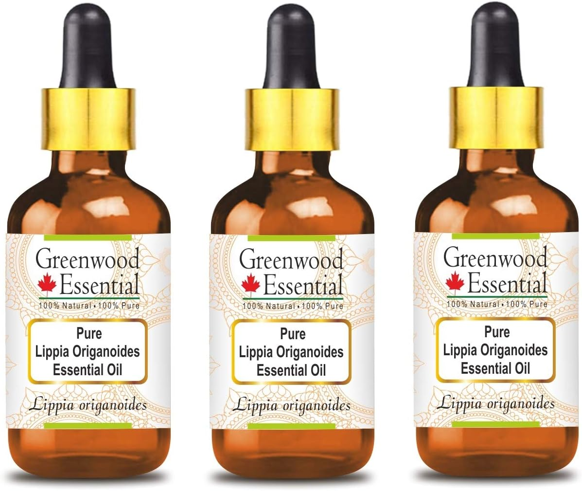 Greenwood Essential Pure Lippia Origanoides Essential Oil (Lippia Origanoides) with Glass Dropper Steam Distilled for Personal Care (Pack of Three) 100Ml X 3 (10Oz) image number 4