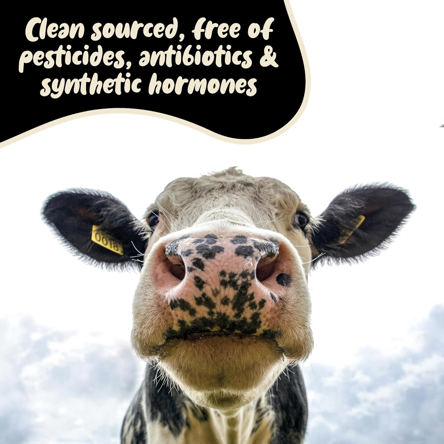 Colostrum Capsules by Holy Cow Health - Pure + Undiluted, Ethically Sourced from New Zealand - Supports Gut Health, Immunity + Overall Well-Being image number 2