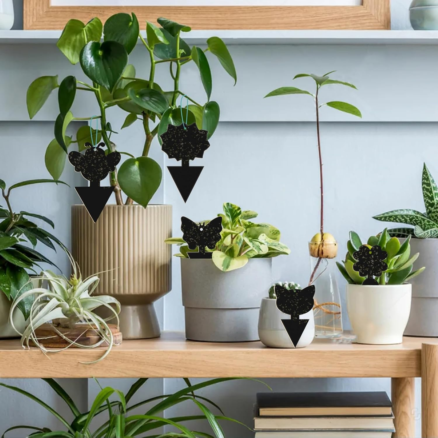 50 PCS Sticky Traps, KIKISML Black Dual-Sided Sticky Insect Catcher with Twist Ties Fruit Fly Fungus Gnat Trap Killer for Whiteflies Mosquitos Fungus Aphids Leafminers Indoor Outdoor Use, Black image number 6