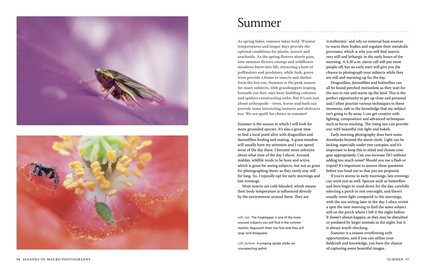 Close-Up: the Complete Guide to Macro Photography image number 1