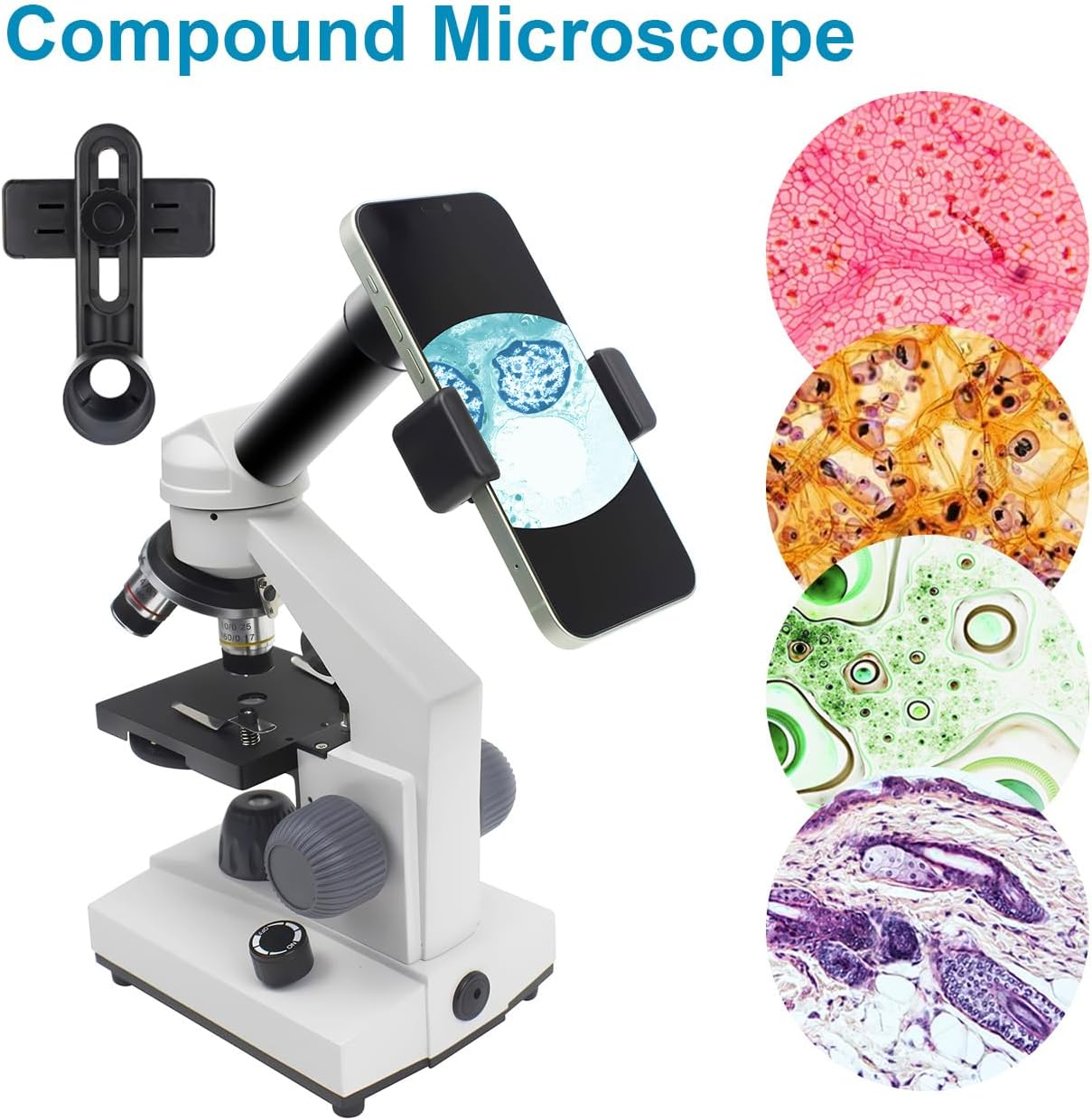 Microscope for Adults Kids Students, 40X-2000X Microscope with Electronic Eyepieces，Metal-Body Dual LED Illumination, Biological Microscope Kit for Kids Students Home School Lab image number 2