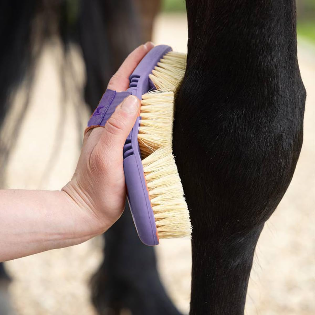 AIMALL Oval Horse Cleaning Brush - Versatile Riding Comb with Wool & Sisal Bristles, Bendable Wash Brush for Mane and Coat Care - Wool image number 3