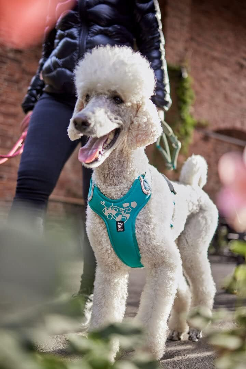 Hurtta Weekend Warrior Dog Harness for Medium Dogs, Peacock Turquoise, 45-60 Cm image number 3