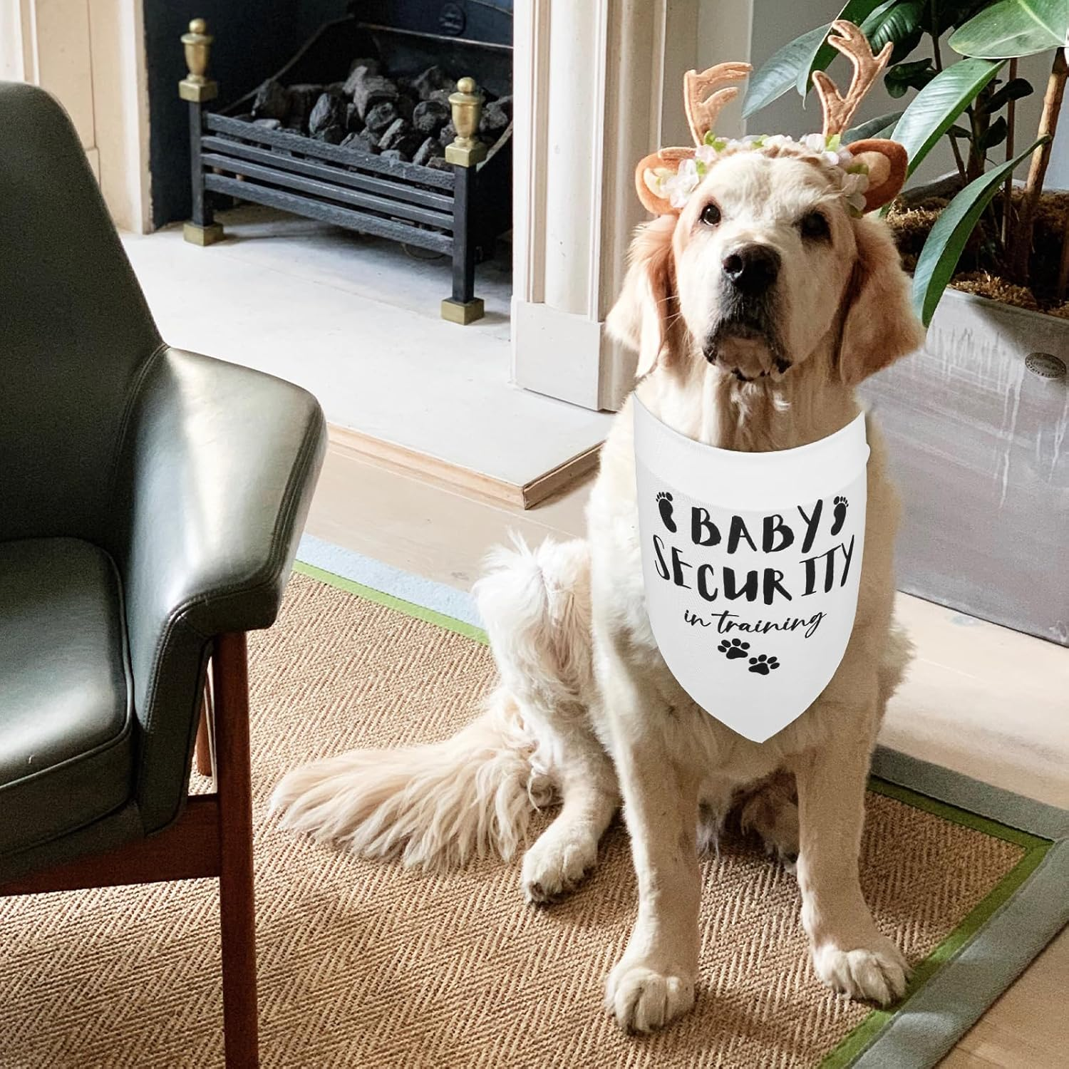 2 PCS Dog Bandana Baby Security in Training Scarf Baby Announcement Sign Triangle Printed Dog Pet Accessories Washable Funny Pregnancy Dog Bandana for Dog Lovers Large Dogs image number 4