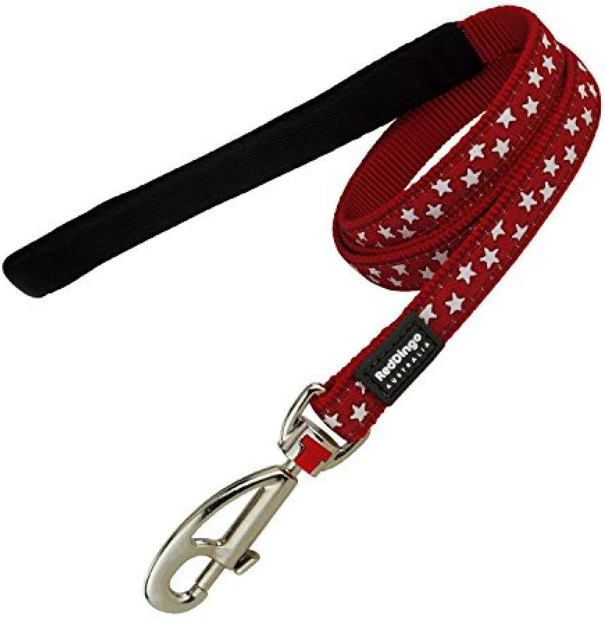 Red Dingo Designer Dog Lead, Turquoise Stars on Lime Green (15Mm X 1.2M) S image number 4