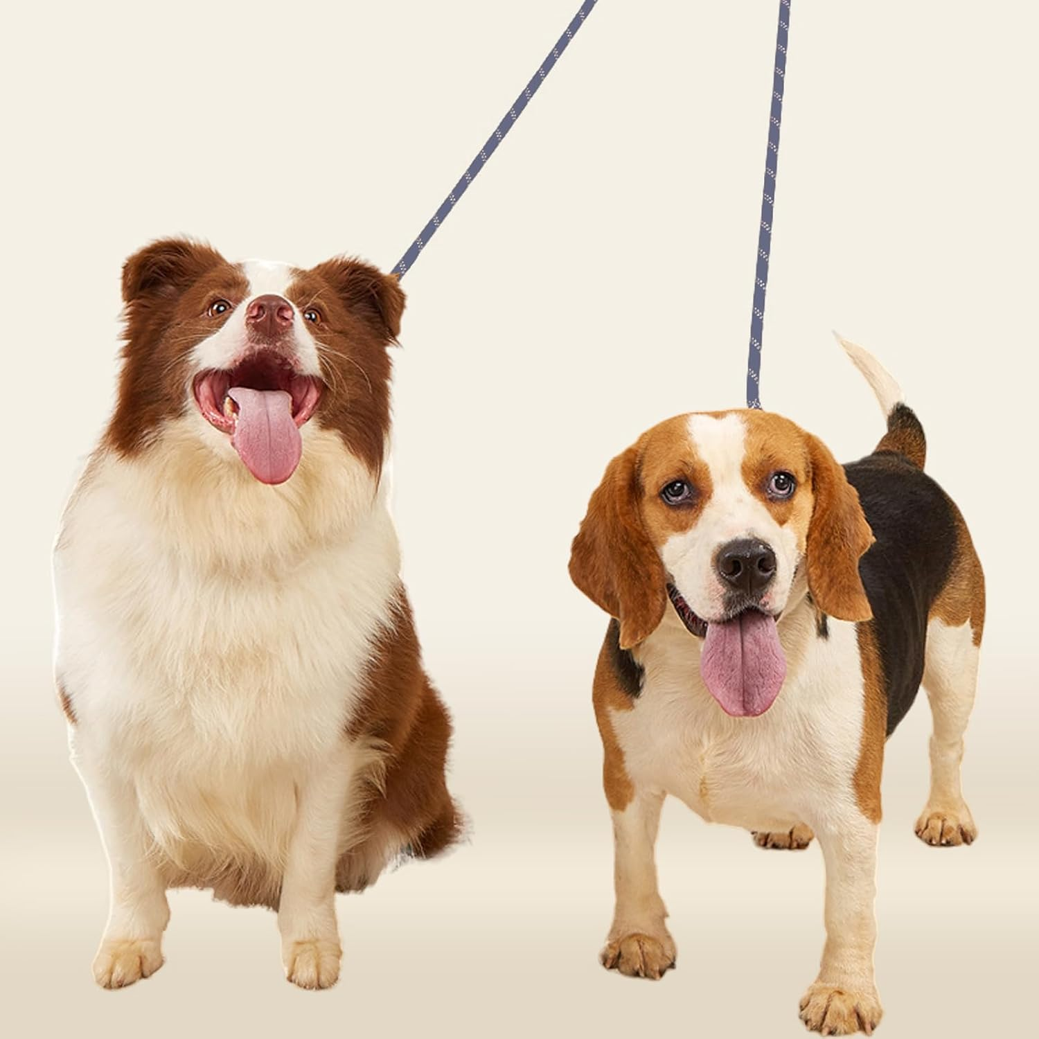 Double Ended Dog Lead Training Dog Lead 2.8M Hands Free Dog Lead Training Leads for Medium Large Dogs Multi-Functional Dog Lead Dog Running Lead Fit for Walking Running Camping (Grey) image number 2