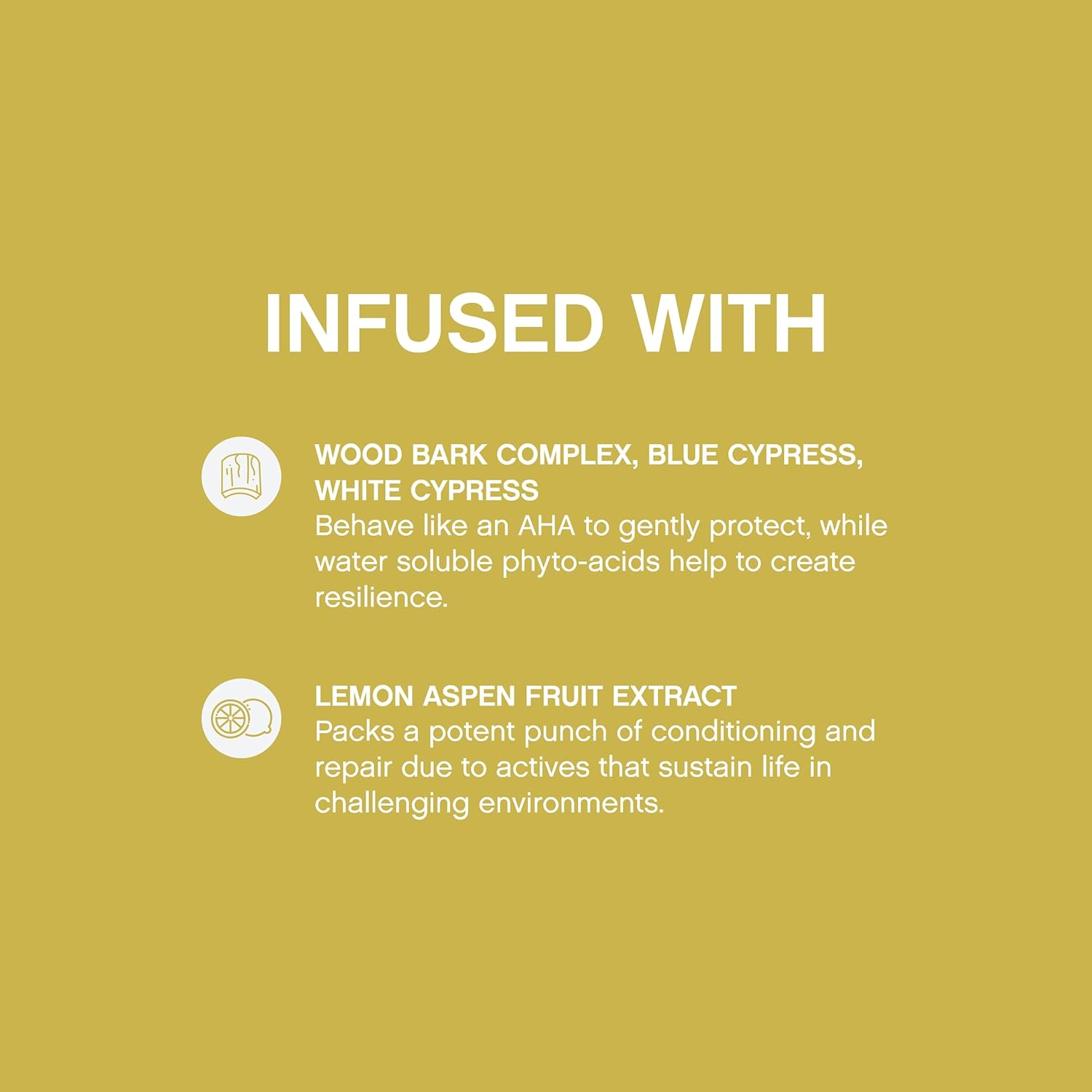 KEVIN.MURPHY BLOW.DRY EVER.SMOOTH Sulphate-Free Heat Protectant Spray - for All Hair Types - Anti-Frizz Volumising Blow Dry Styling with Wood Bark Complex & Cypress - 150Ml image number 6