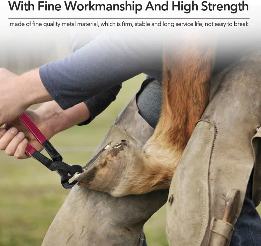 Horse Hoof Nipper, Eacam 4PCS Horse Farrier Hoof Nipper Trim Shoeing File Rasp Handle Hoof Cutter Tool Horse Care Accessory image number 2