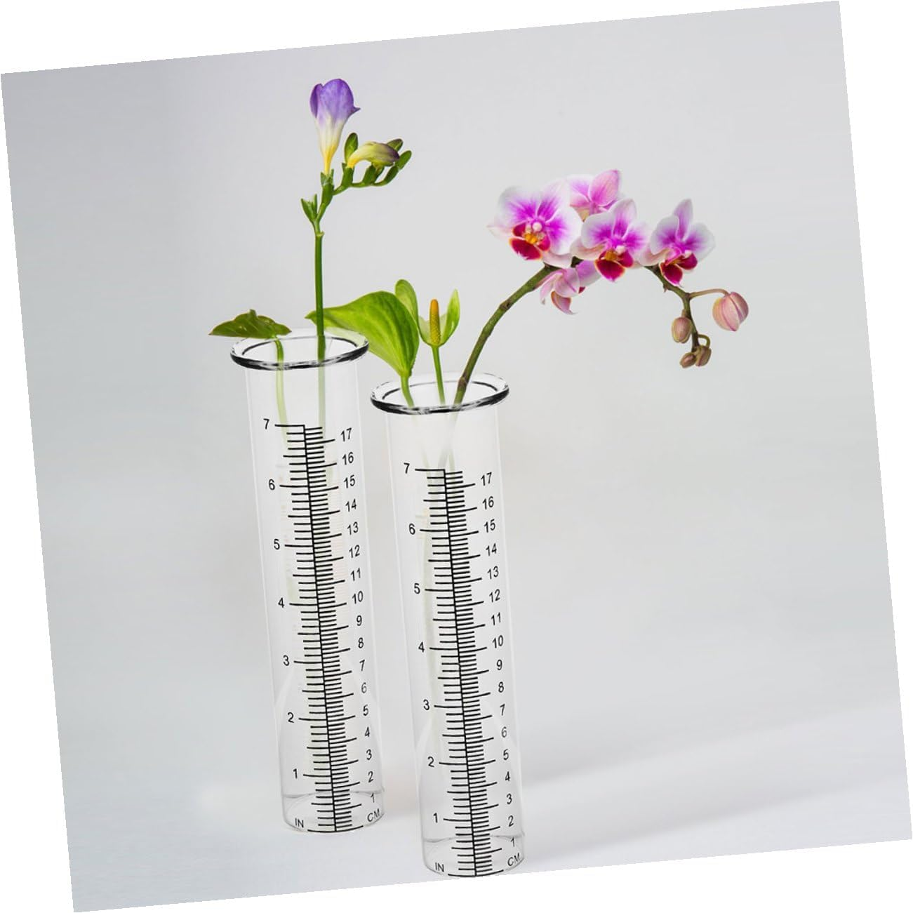 4Pcs Transparent Rain Measuring Tubes Glass Rain Gauge Outdoor Water for Garden Lawn Patio for Plant Moisture Monitoring image number 6