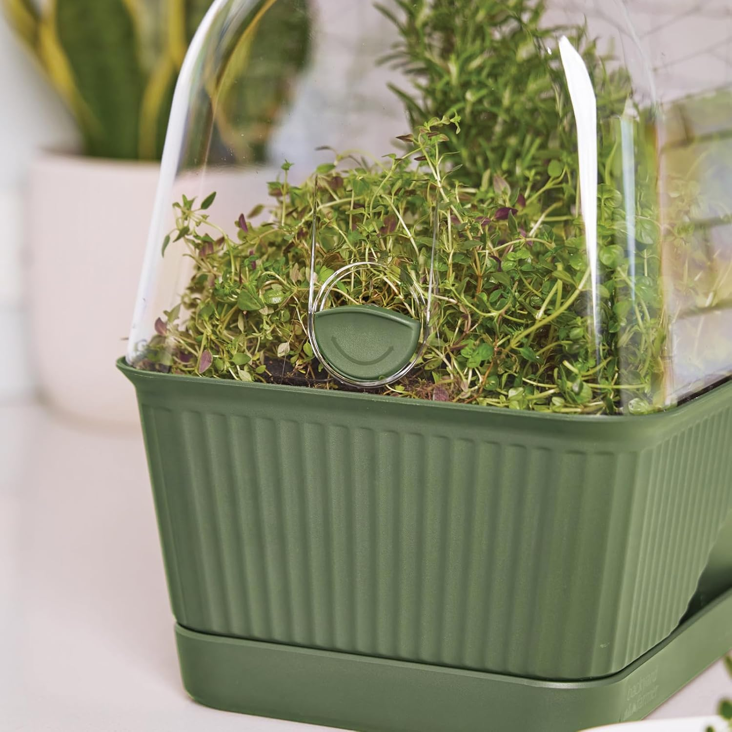 Lula Mini Greenhouse, Green image number 2