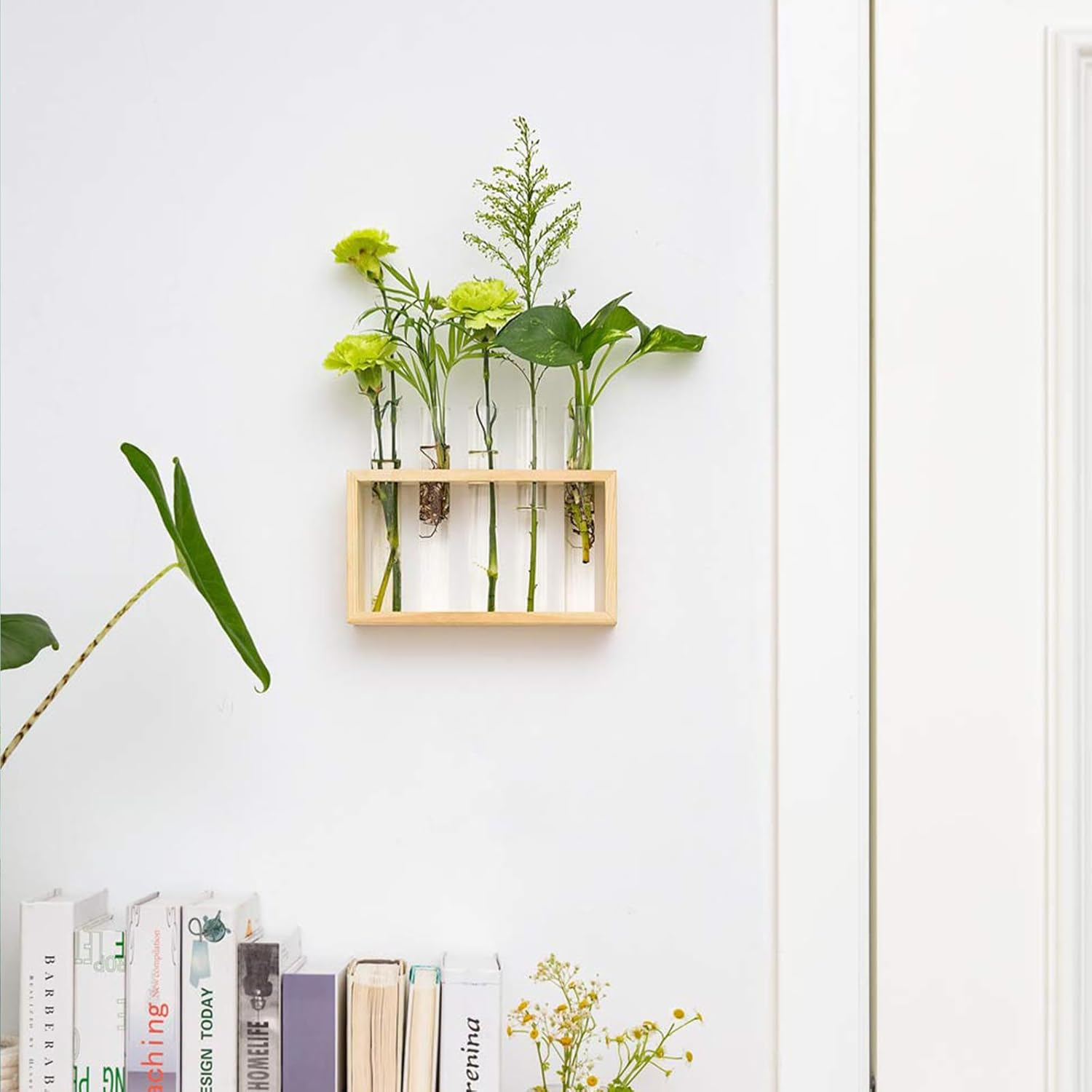 Desktop Plant Propagation Stations, Clear Cylinder Glass Foldable Vase Test Tube with Wooden Stand,Propagation Station,Gifts for Plant Lovers,5 Vases - A image number 4