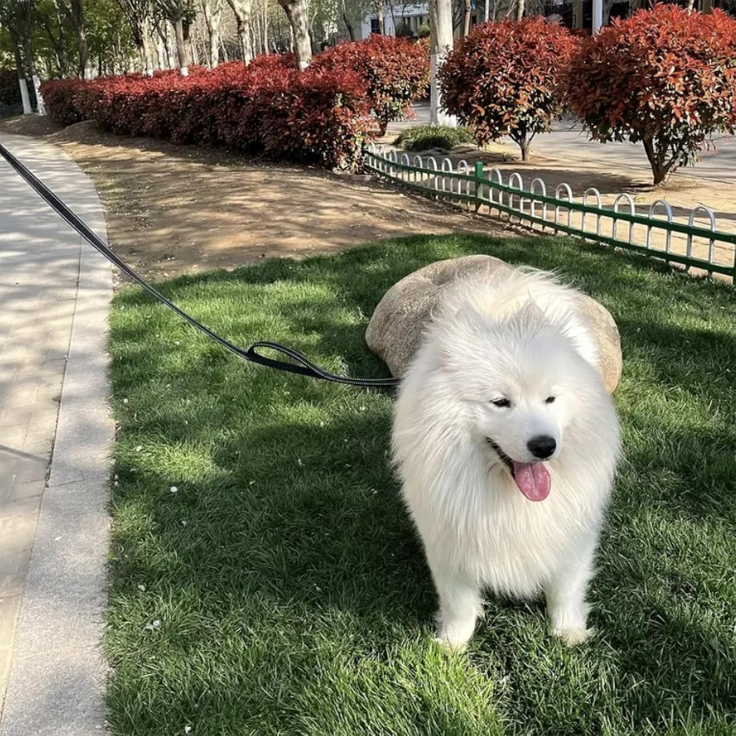 CTOUUGRS Heavy Duty Dog Leash with 2 Handles and Padded Traffic Handle for Extra Control 6 Foot Long for Medium to Large Dogs Black 6Ft image number 1