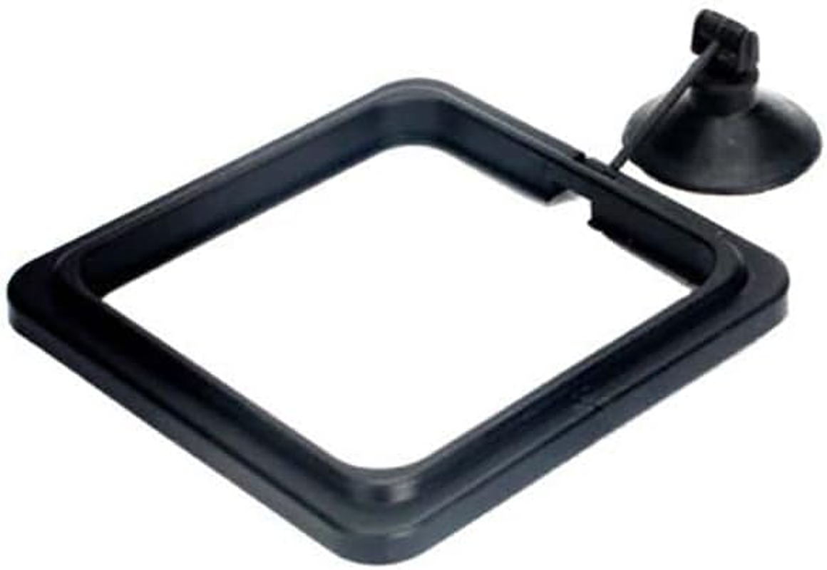 AIMALL Fish Feeding Ring with Adjustable Suction Cup for Aquarium Food Floating Square and round Feeder