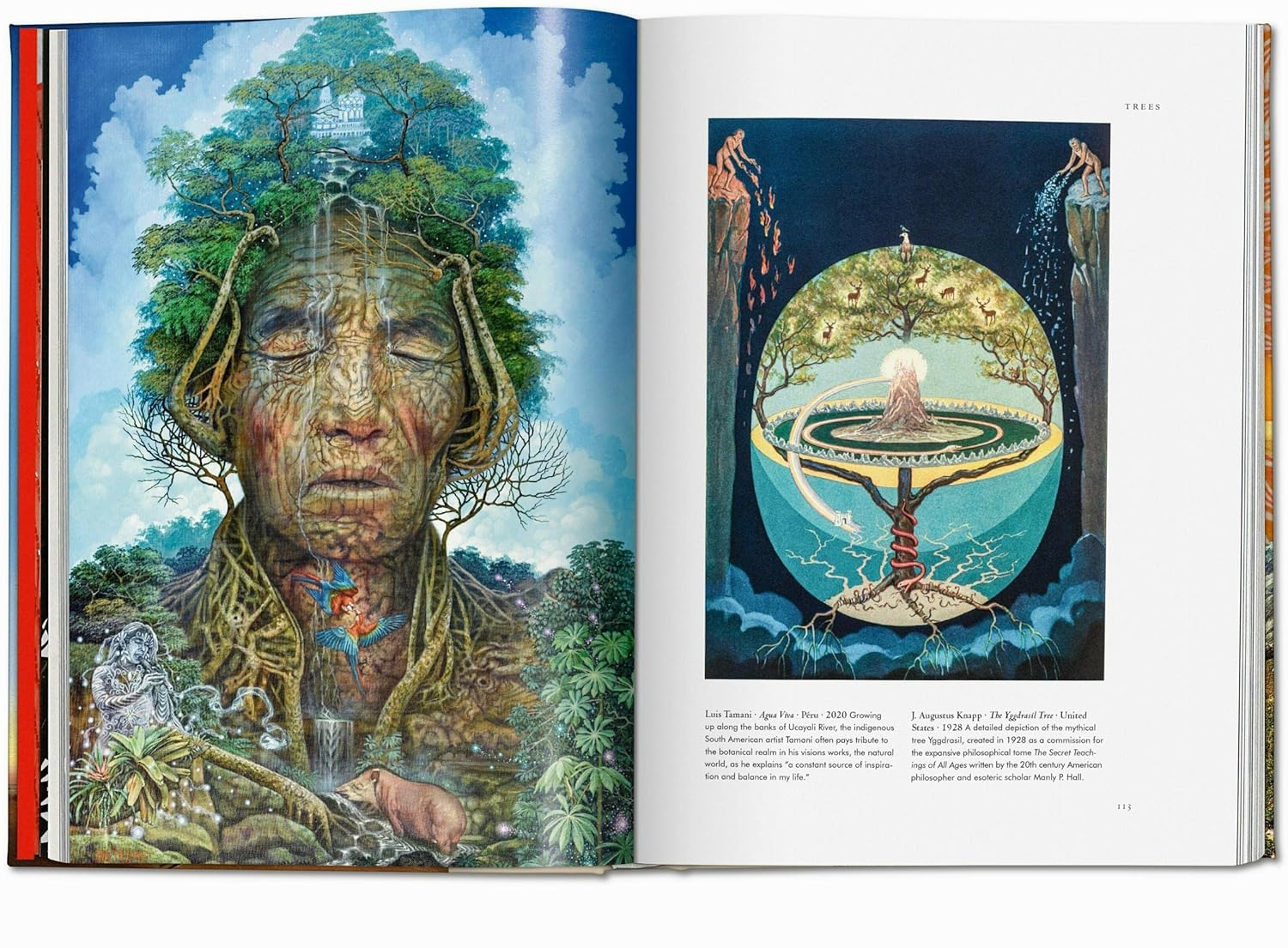 Plant Magick image number 1