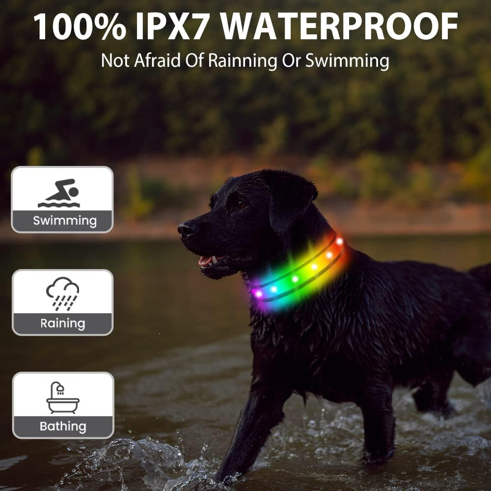 TRIPOLACO Light up Dog Collars, Waterproof Rechargeable Led Dog Collar, Glow in the Dark Dog Collars for Night Walking, Multicolor Lighted Dog Collars for Small Medium Large Dogs - Black, L