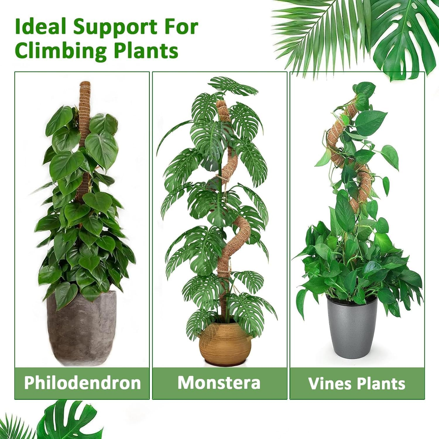 Pack Moss Pole Kit, 48 Inch Bendable Moss Pole Monstera Plant Support, Moss Poles for Monstera, Climbing Plants Indoor Large Moss Pole Support Garden Trellis Potted Plants Pothos Growth (48 Inch) image number 3