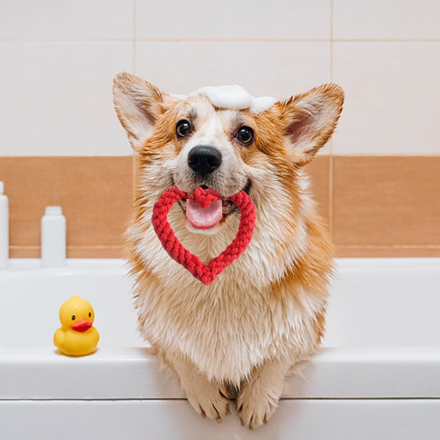 HDGSAFD Pack of 2 Pet Chew Toys, Heart-Shaped Braided Rope Toy, Pet Supplies, Suitable for Small and Medium Dogs image number 2