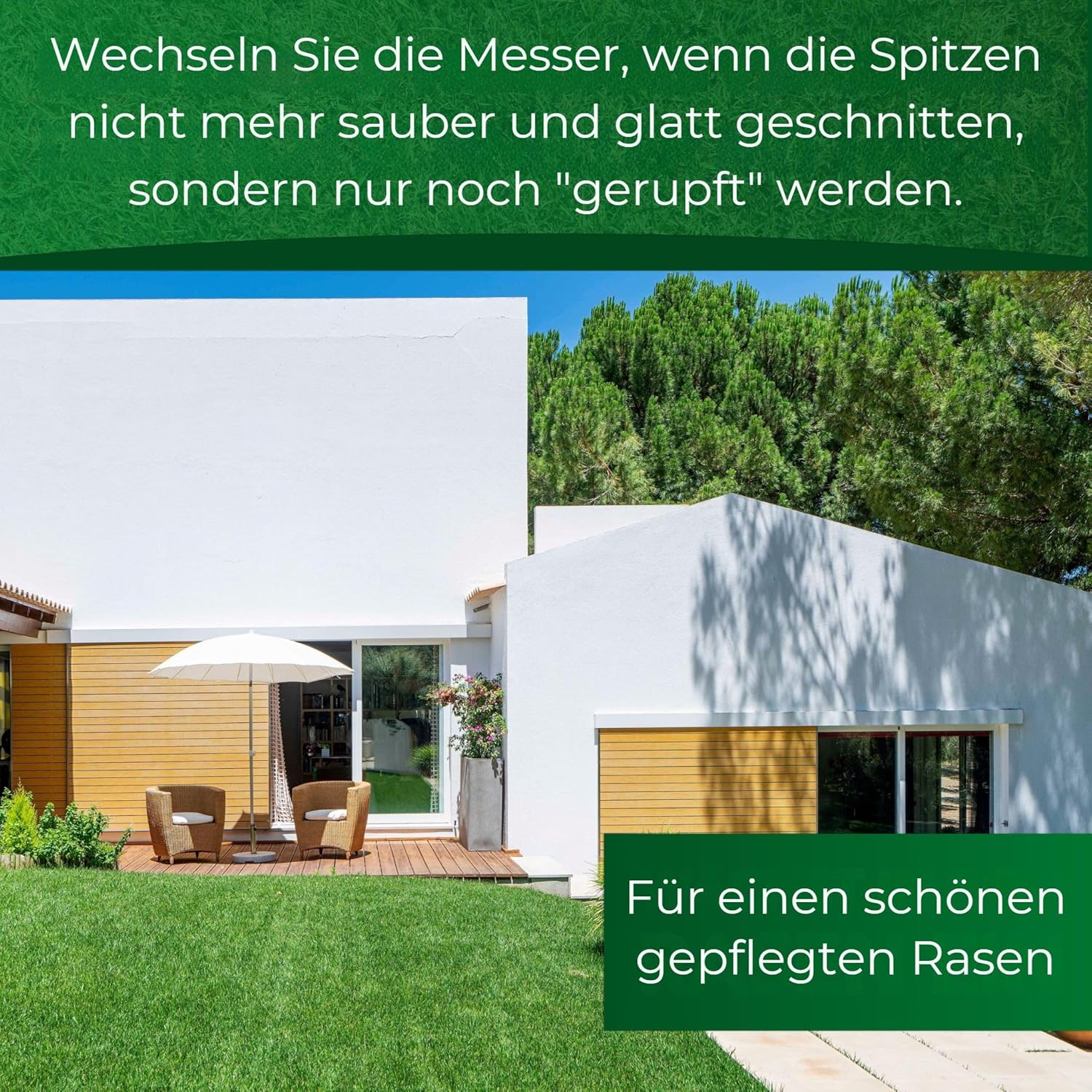 G Greengrass Tools Replacement Blade Compatible with Dreame A1 A2 Mova Robotic Lawnmower Blades - Longlife Stainless Steel [Shatterproof DIN EN 50636 Tested], Pieces: 12 + 12 Nuts image number 5