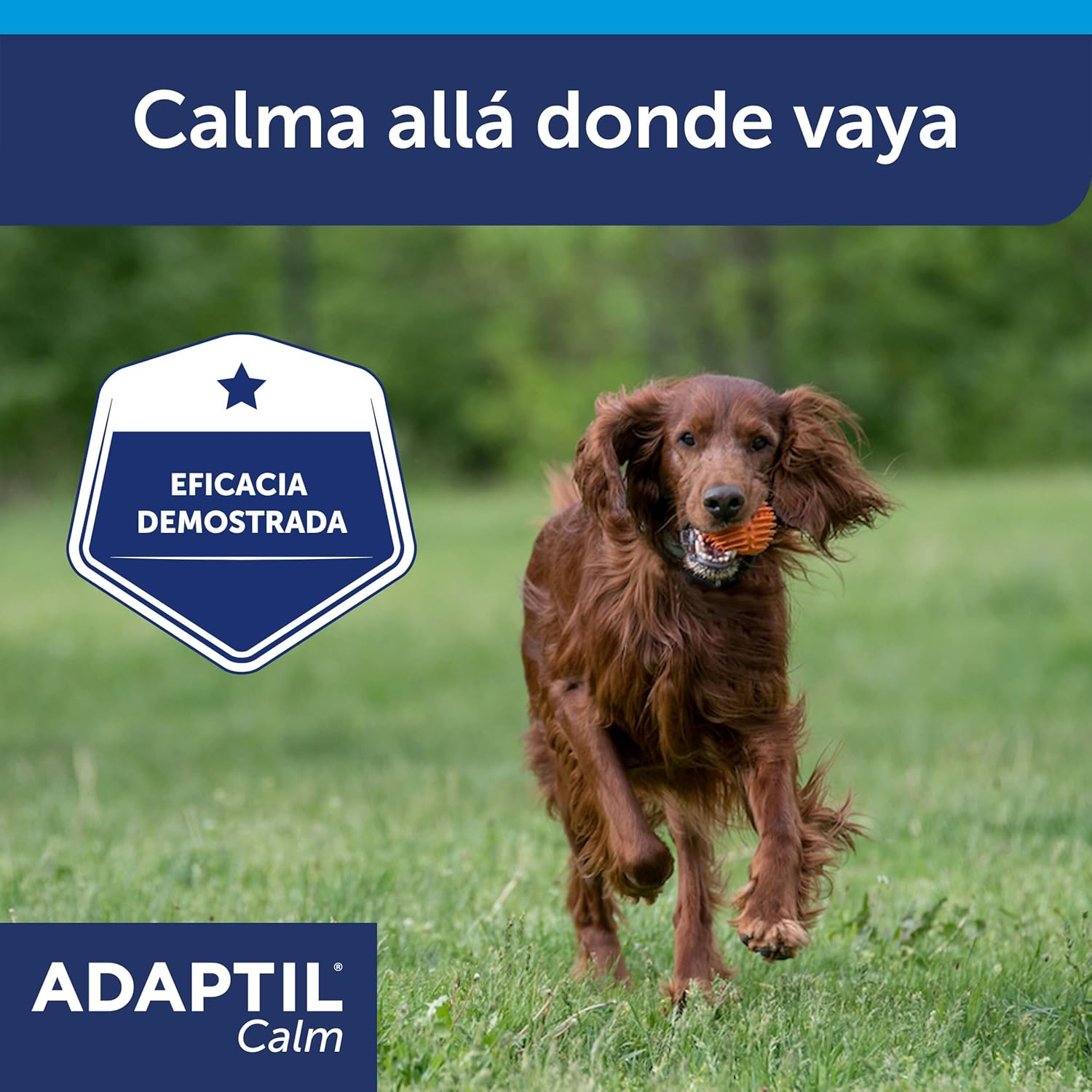 CEVA Adaptil Calm - Anti-Stress for Dogs - Fears, Loud Noises, Learning, Adoption - Collar M/L for Medium and Large Dogs image number 1