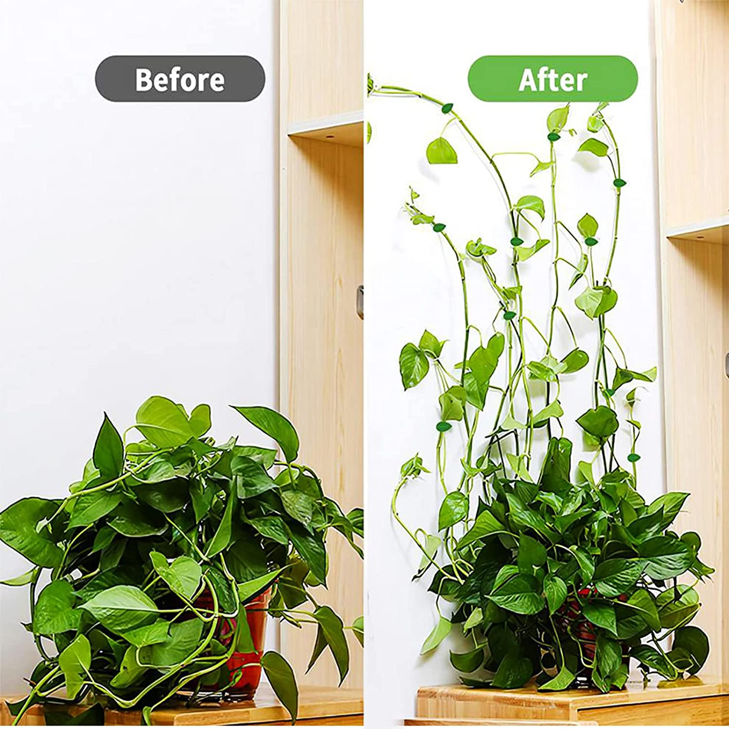 Plant Climbing Support Clips,Decoration Leaf Fixture Clips, Self-Adhesive Green Vine Clip (40Pcs Plant Climbing Support Clips) image number 4