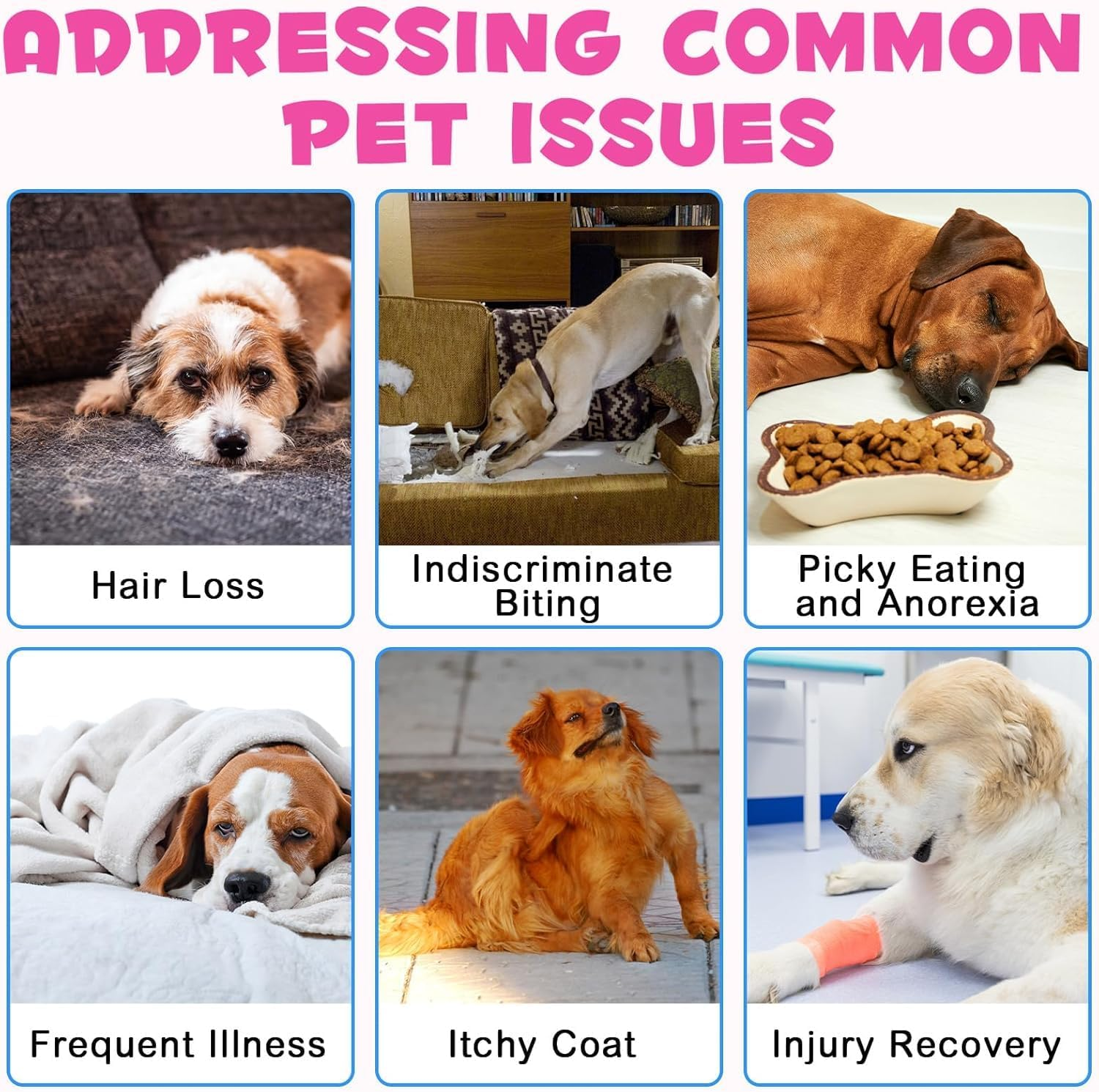 2Pcs Collagen for Dogs,Liquid Collagen for Dog,Skin & Coat Supplement for Dogs,Bacon Flavor,With Biotin,Msm & Ginger image number 5