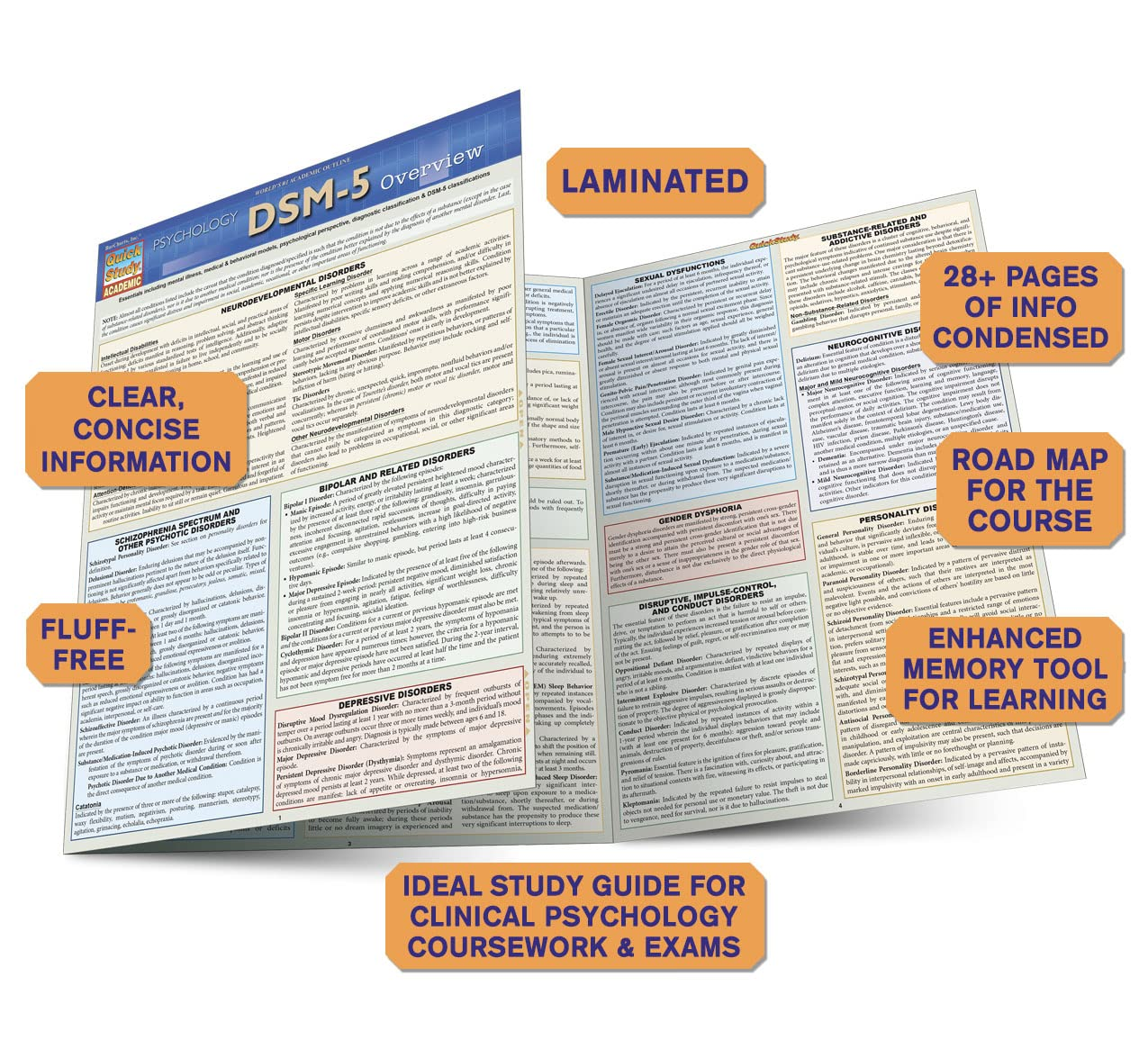 DSM-5 Overview image number 4