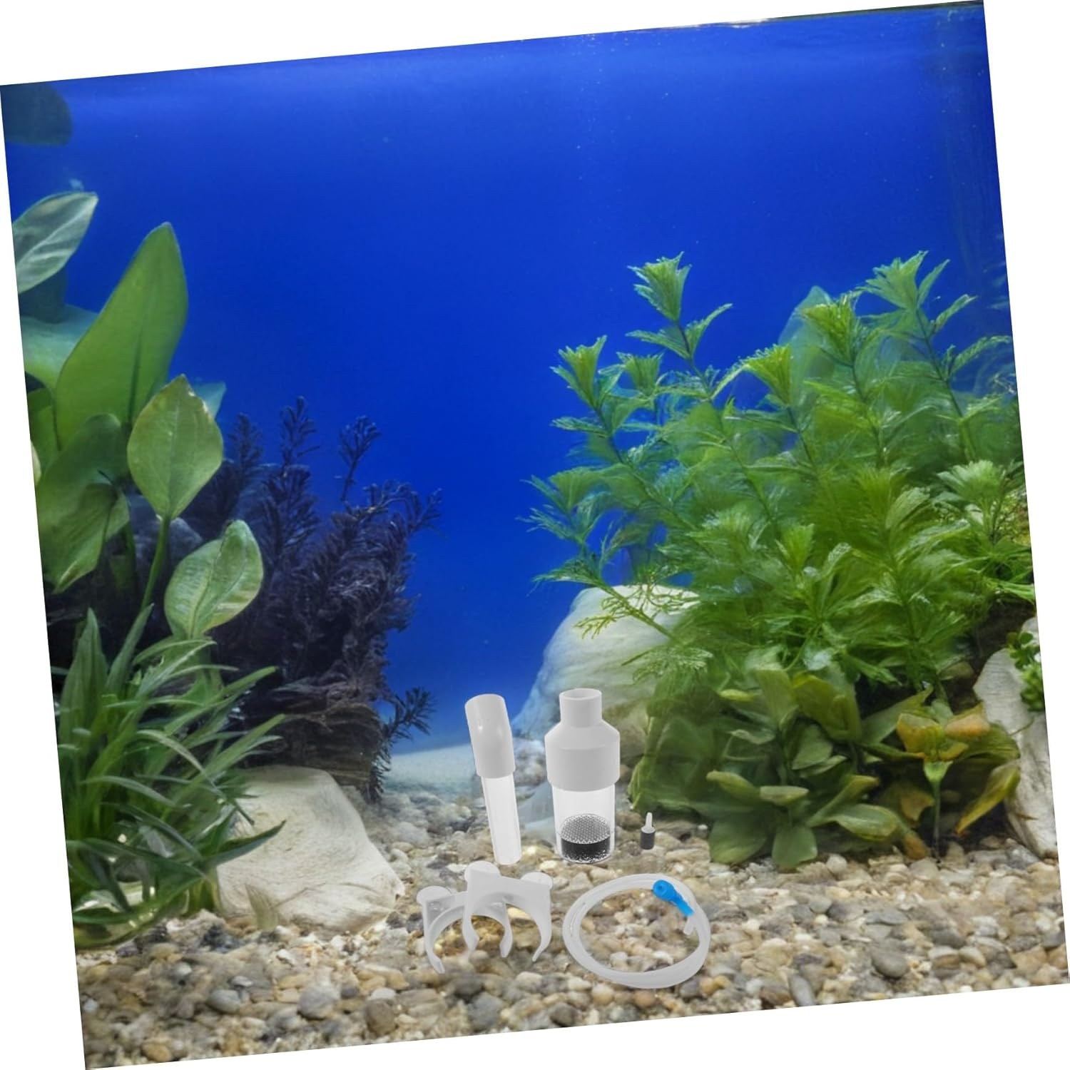 YARNOW Fish Egg Incubator for Aquarium Breeding Cichlids Hatchery Incubator Fish Tank Incubation Box for Breeding Aquatic Pets image number 4