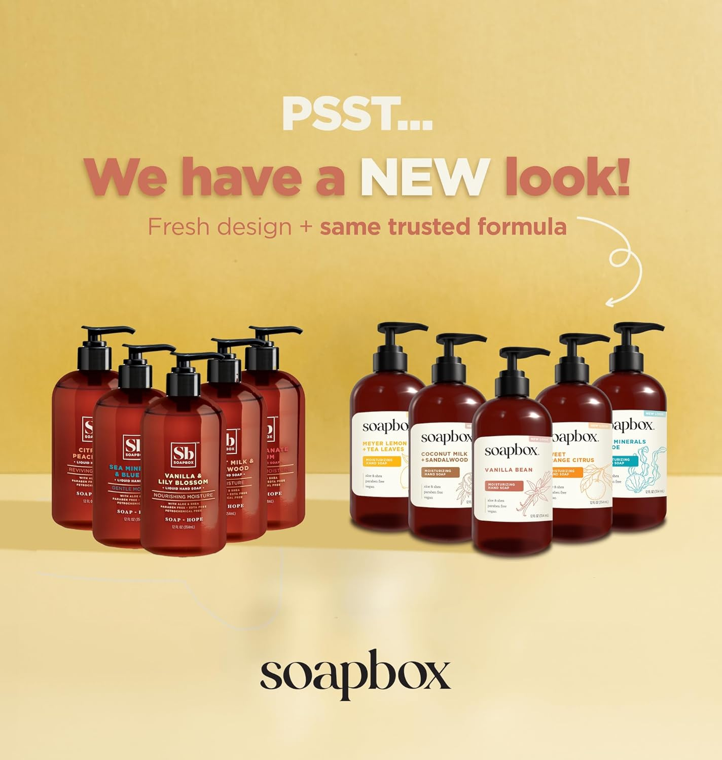 Soapbox Liquid Hand Soap, Coconut Milk & Sandalwood, Gentle & Moisturizing Hand Wash for Kitchen and Bathroom, Vegan & Cruelty Free Scented Hand Soap 12 Ounce Pump Bottles (Pack of 3) image number 6