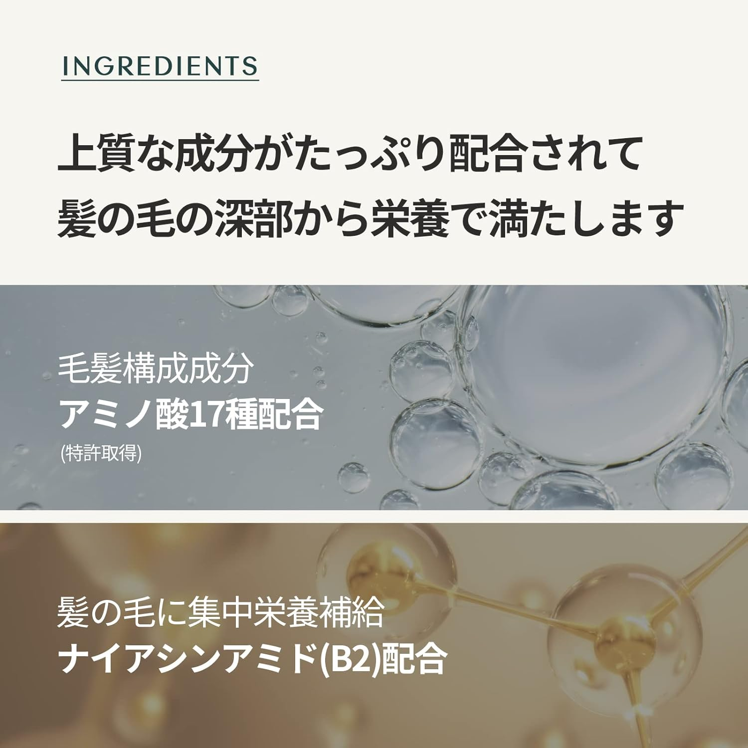 Day Collagen Shampoo Morning of Resort 360Ml image number 5