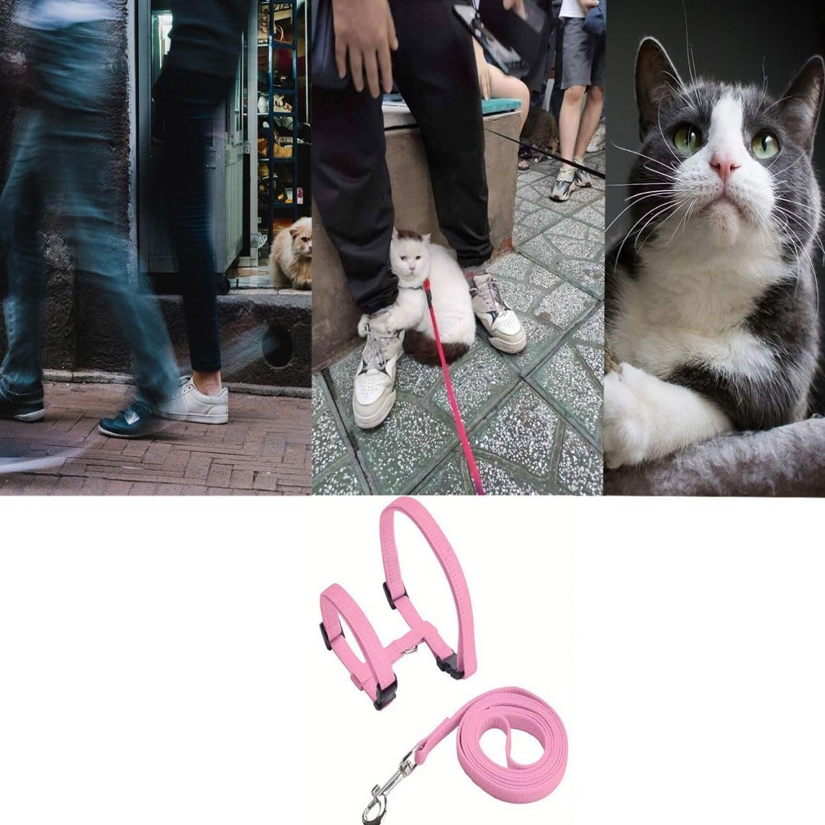 Pack of 2 Adjustable Nylon Harnesses, Cat Lead, Harness, Cat Lead, Kitten Collar, Soft Cat Harness with Lead for Kittens, Puppies, Rabbits (Blue and Pink) image number 6